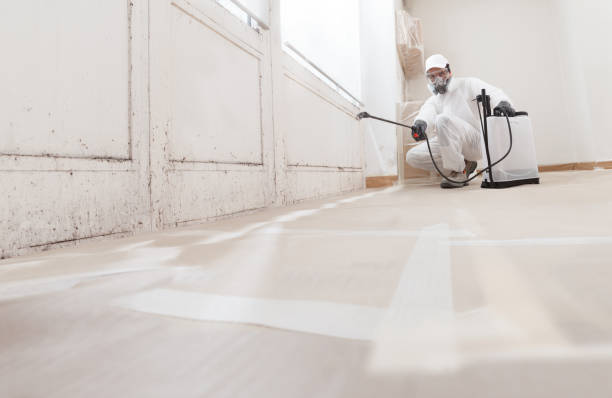 24/7 Emergency Mold Remediation experts in Coppell, TX